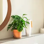 Zentrumsnahe 2-zimmer Mit Privatem Parkplatz Und Balkon Daire Leipzig